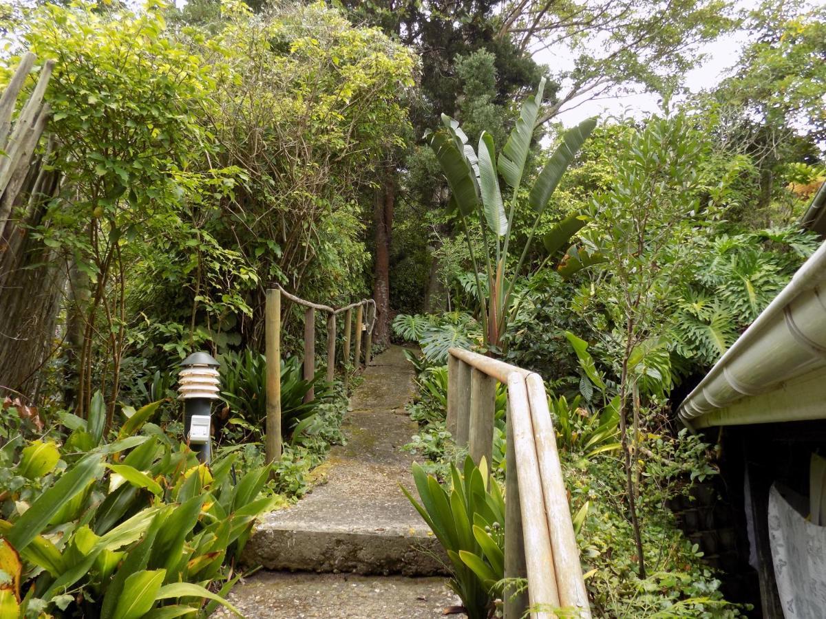 Protea Guest House Knysna Luaran gambar