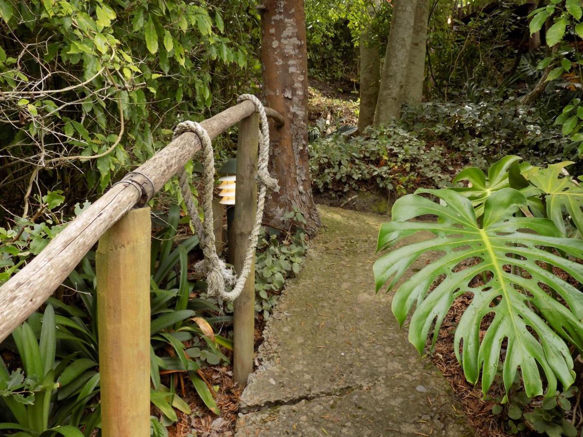 Protea Guest House Knysna Luaran gambar