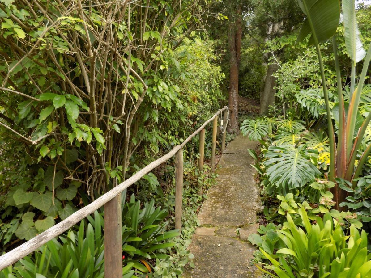 Protea Guest House Knysna Luaran gambar