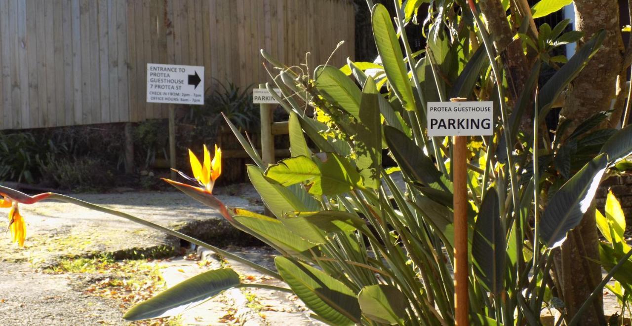 Protea Guest House Knysna Luaran gambar