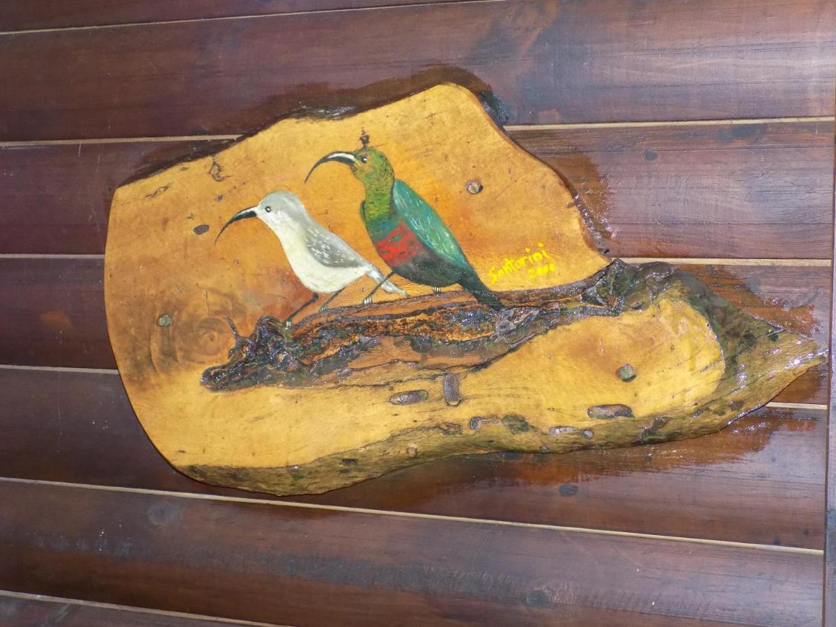 Protea Guest House Knysna Luaran gambar