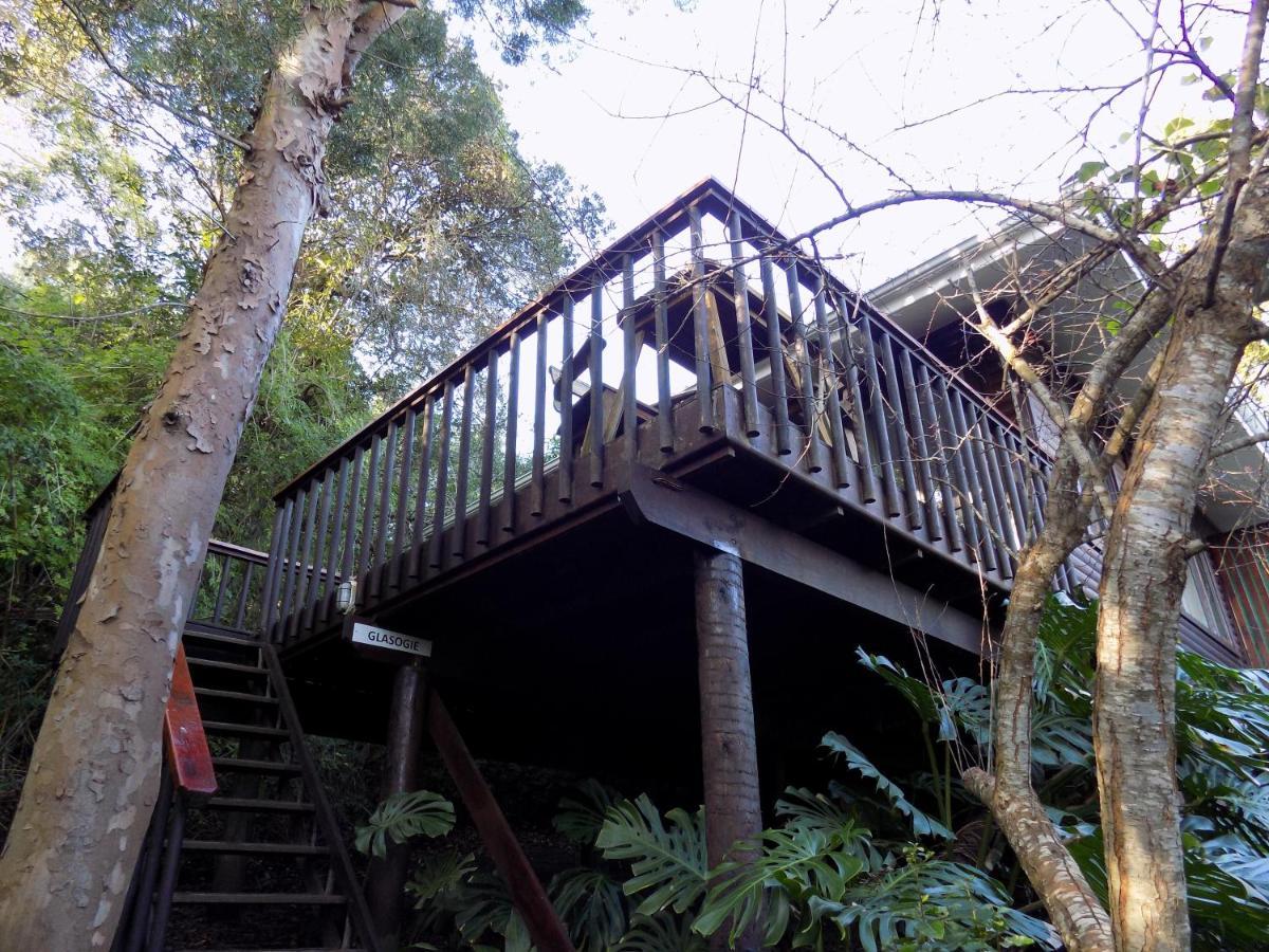 Protea Guest House Knysna Luaran gambar