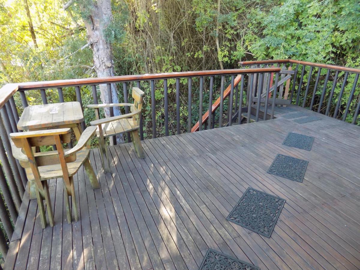 Protea Guest House Knysna Luaran gambar
