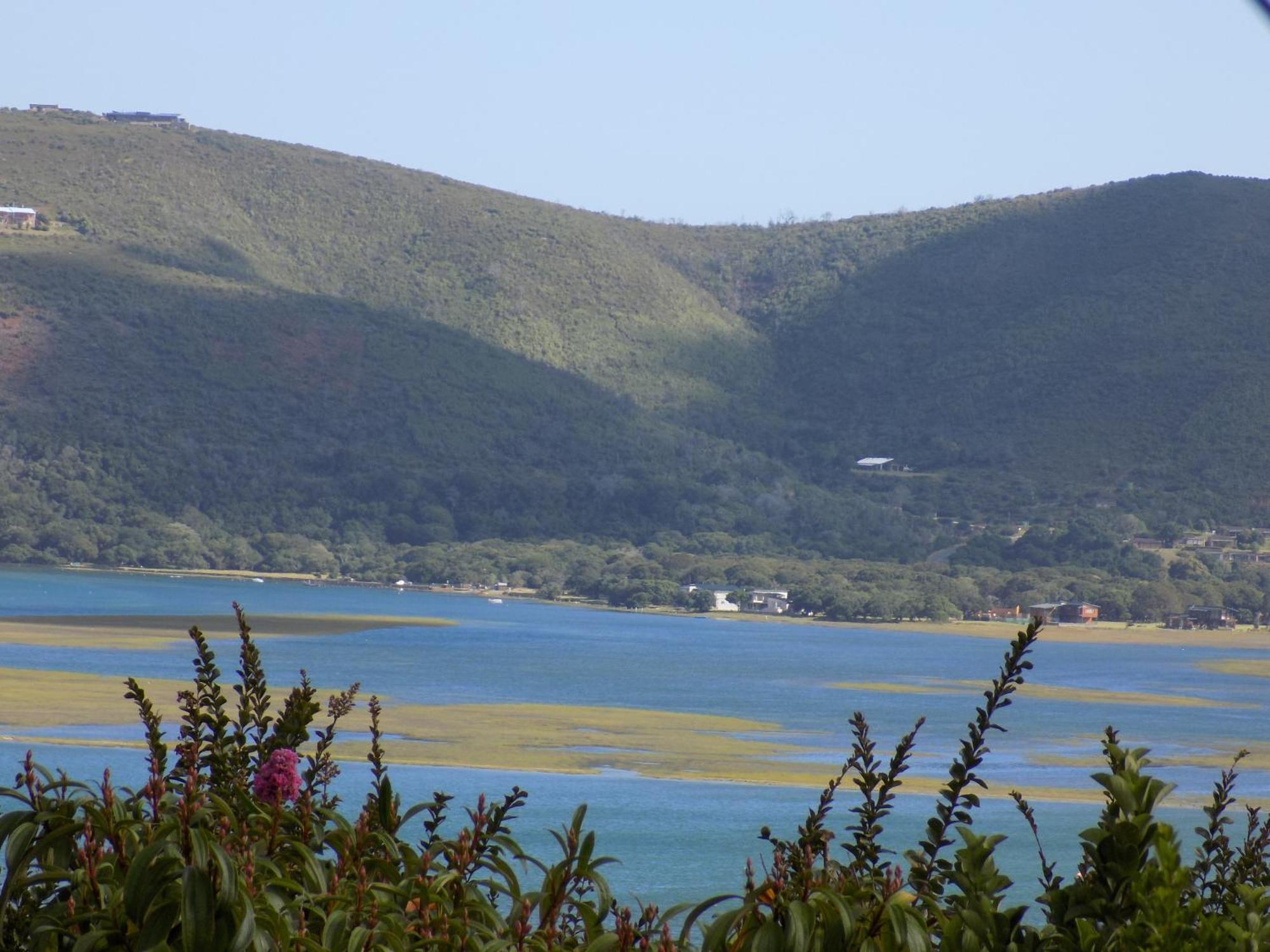 Protea Guest House Knysna Bilik gambar